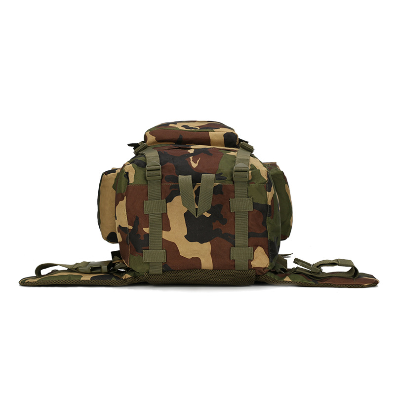 Zaino da trekking Zaino da est - Lightweight Backpack 65L recensione e prezzo