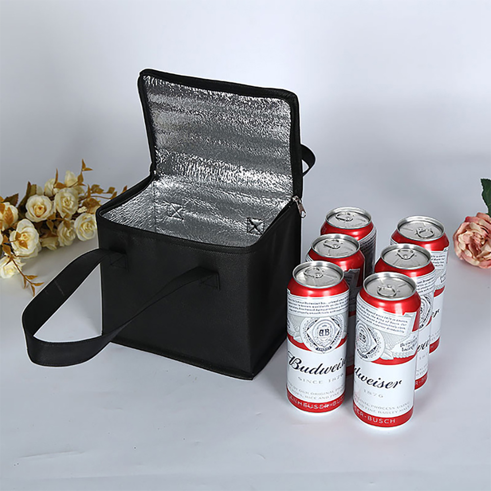 Borsa Termica Portatile per Pr - Outdoor Camping Meals recensione e prezzo